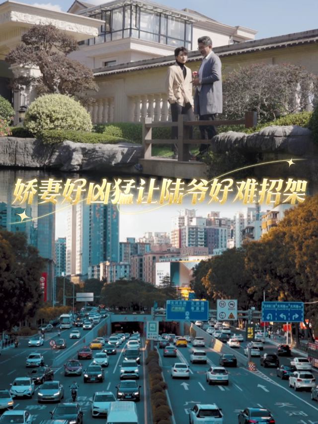 娇妻好凶猛让陆爷好难招架封面