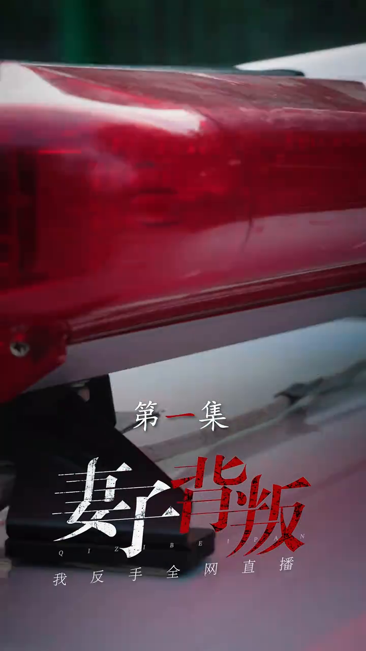 全城搜捕封面
