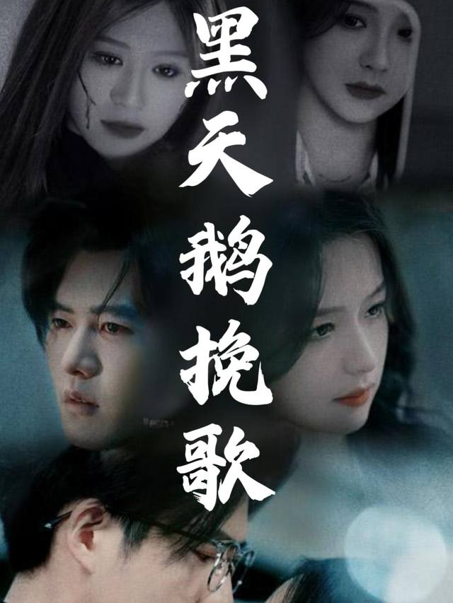黑天鹅挽歌封面