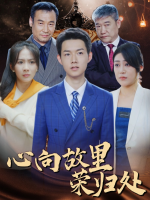 心向故里荣归处封面
