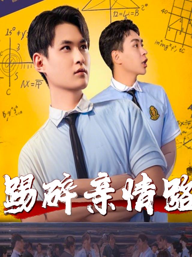踢碎亲情路封面
