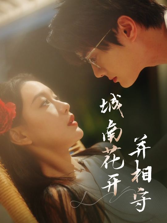 城南花开并相守封面