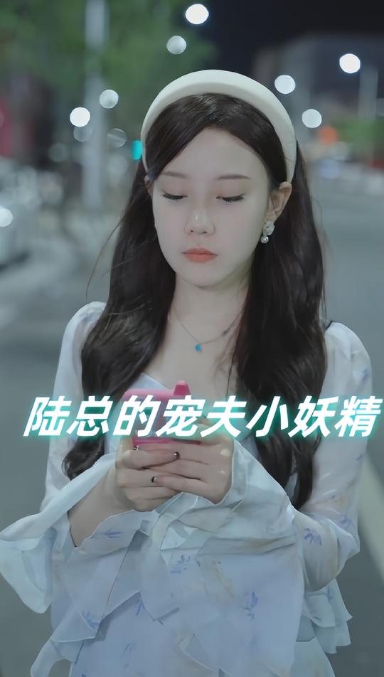 陆总的宠夫小妖精封面