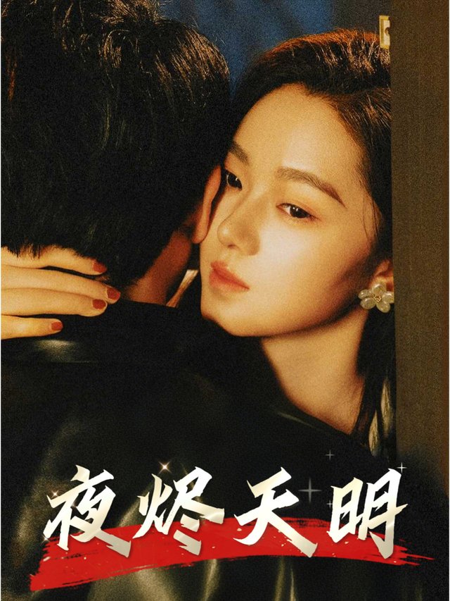 夜烬天明封面