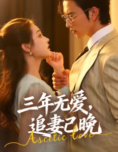 三年无爱,追妻已晚封面