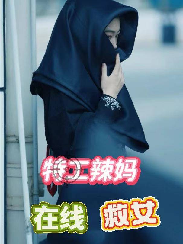 特工辣妈在线救女封面