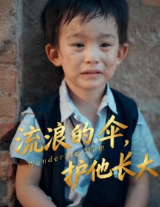流浪的伞,护他长大封面