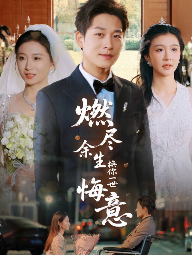 错过的深情难再续封面