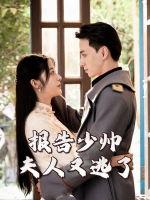 报告少帅，夫人她又逃了封面