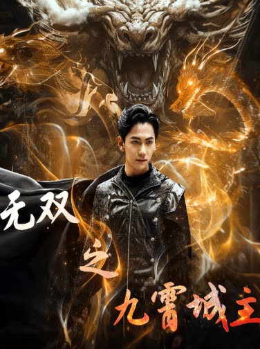 无双之九霄城主封面