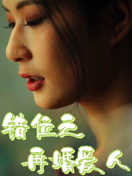 错位之再婚爱人封面