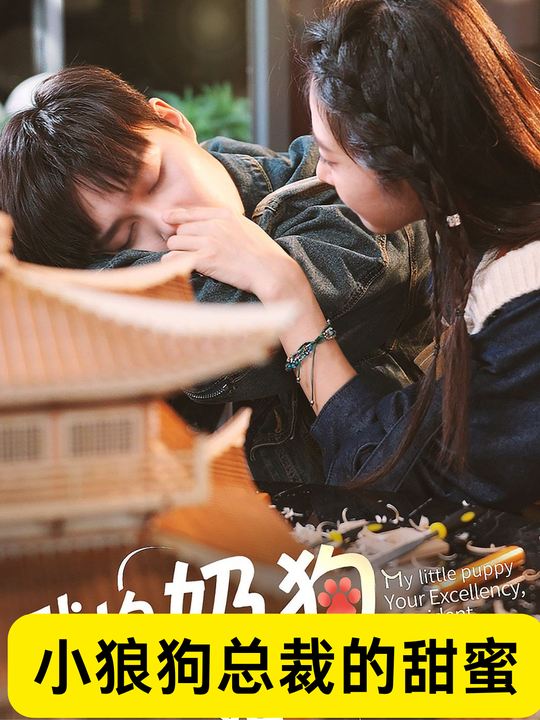 小狼狗总裁的甜蜜爱恋封面