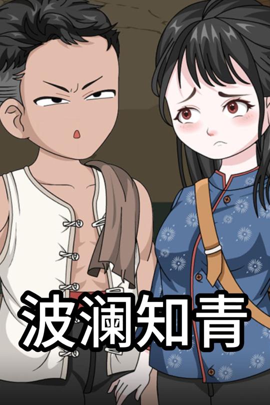 波澜知青封面