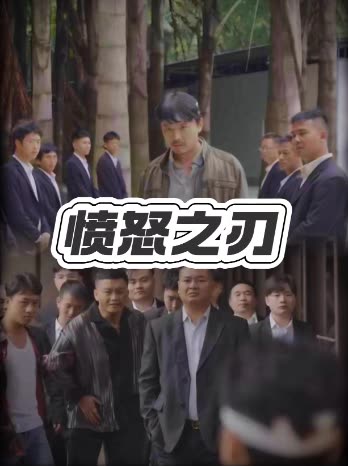 愤怒之刃封面