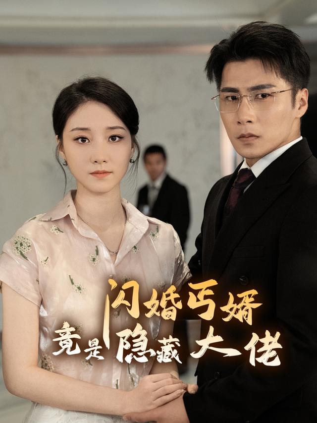闪婚丐婿竟是隐藏大佬封面