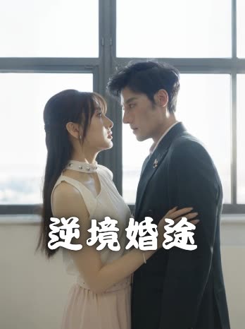 逆境婚途封面
