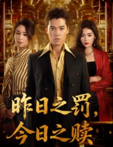 昨日之罚,今日之赎封面