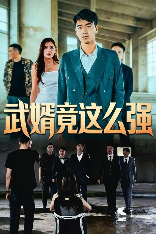 武婿竟这么强封面