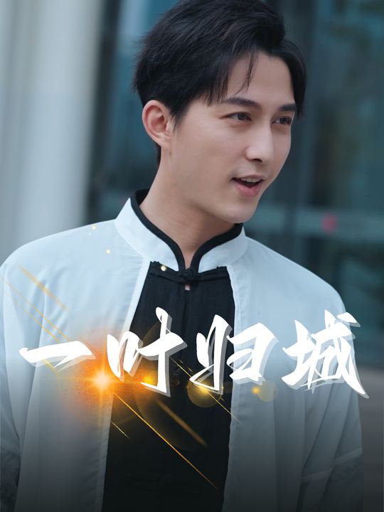 一叶归城封面