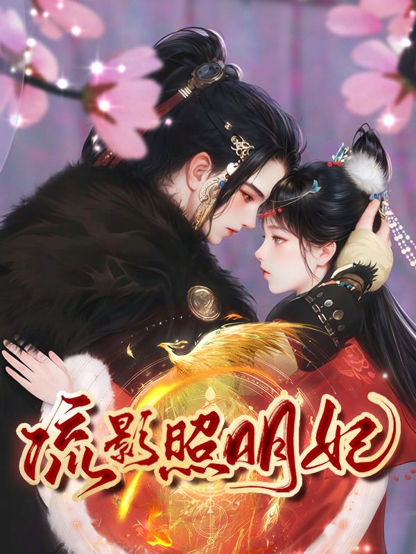 流影照明妃封面
