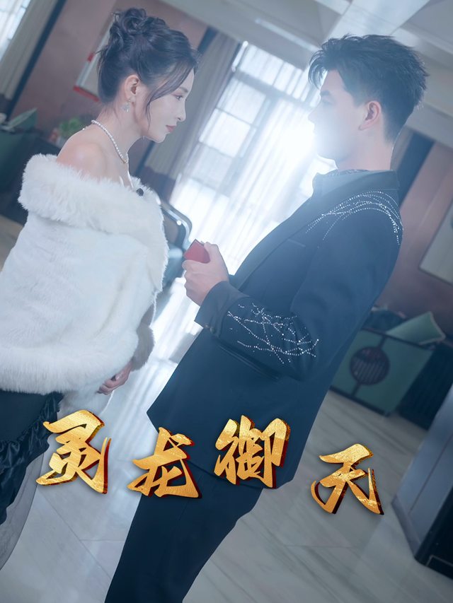 灵龙御天封面
