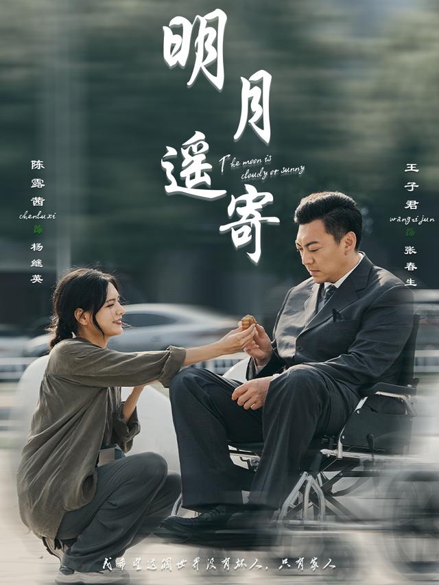 明月遥寄封面