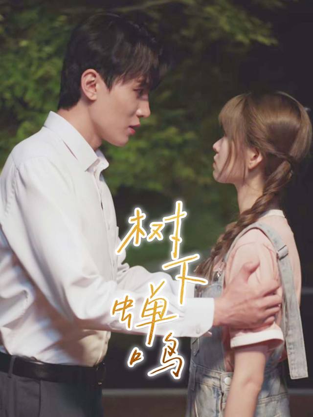 树下蝉鸣封面