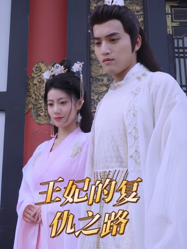 王妃的复仇之路封面