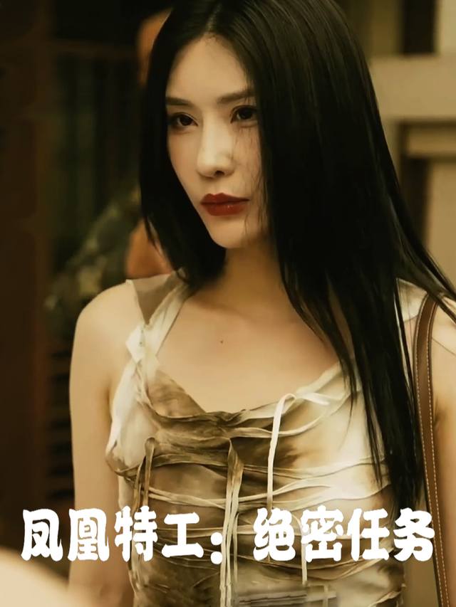 凤凰特工:绝密任务封面