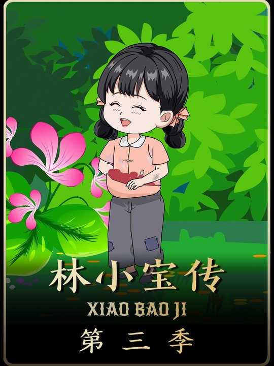 林小宝传第三季封面