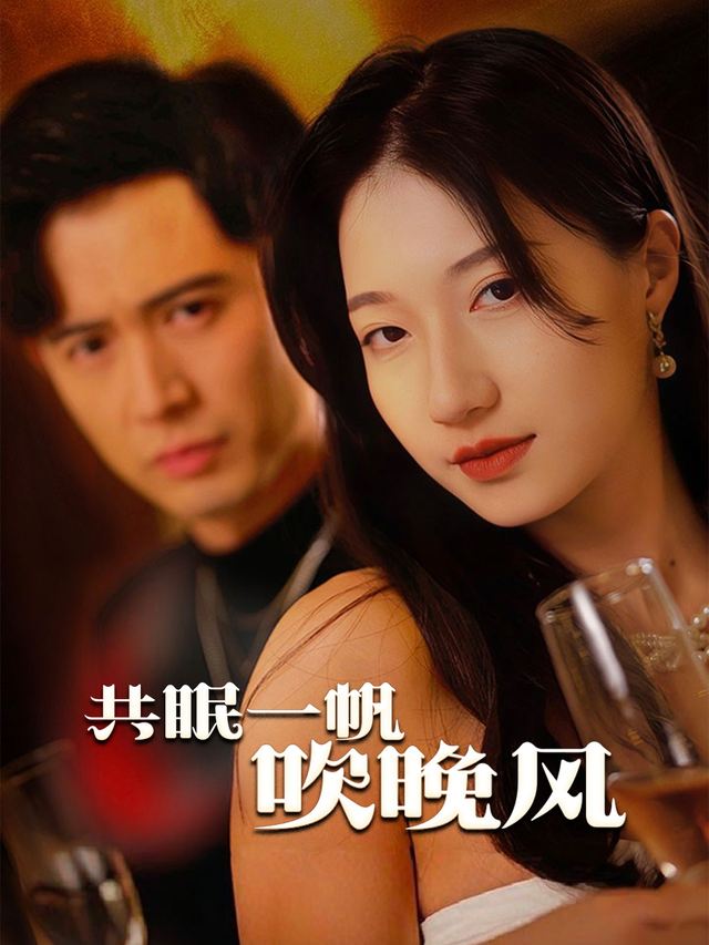共眠一帆吹晚风封面