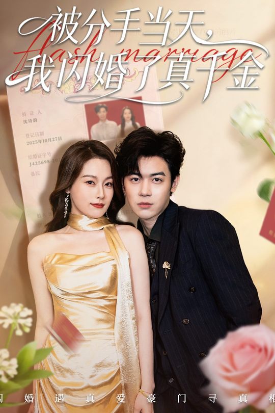 被分手当天，我闪婚了真千金封面