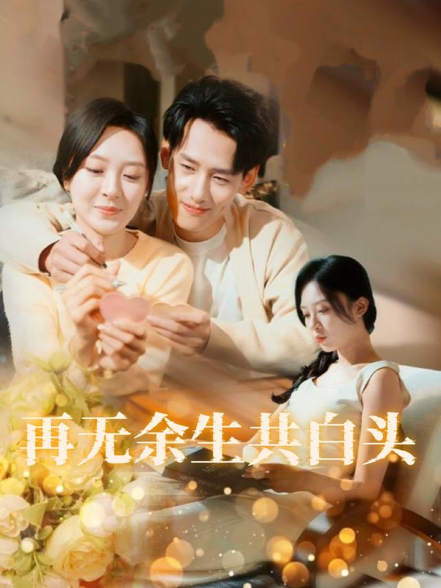 再无余生共白头封面