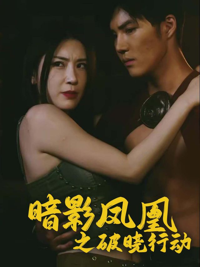 暗影凤凰之破晓行动封面