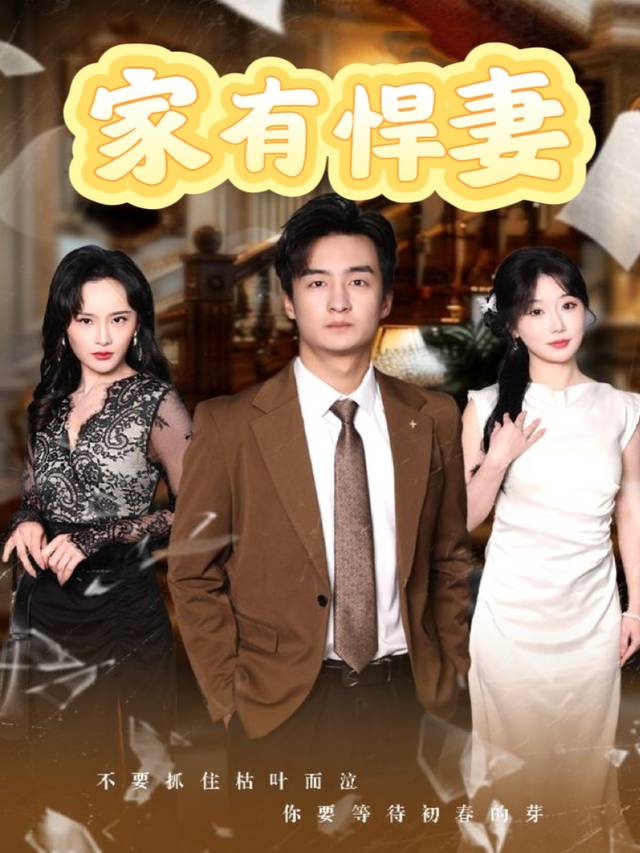 家有悍妻封面