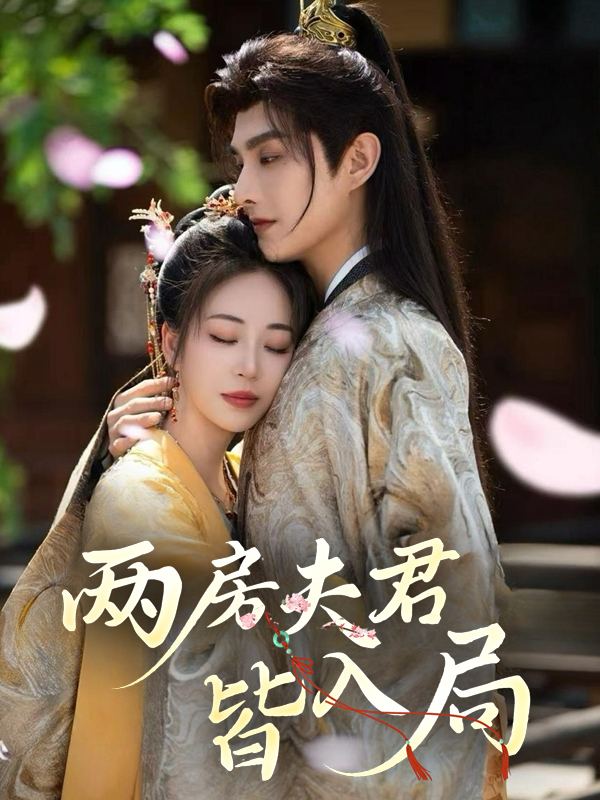 两房夫君皆入局封面