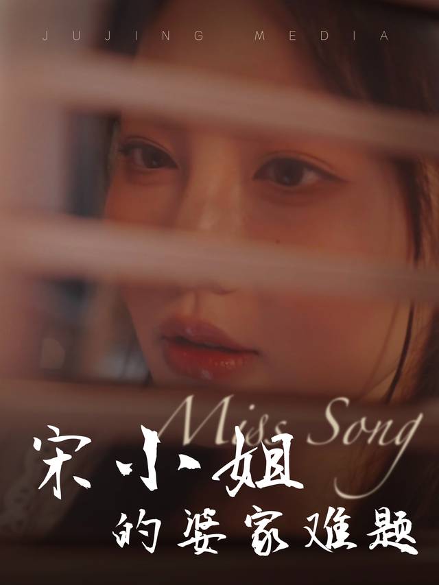 宋小姐的婆家难题封面