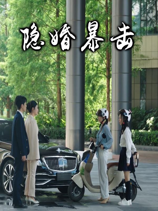 隐婚暴击封面
