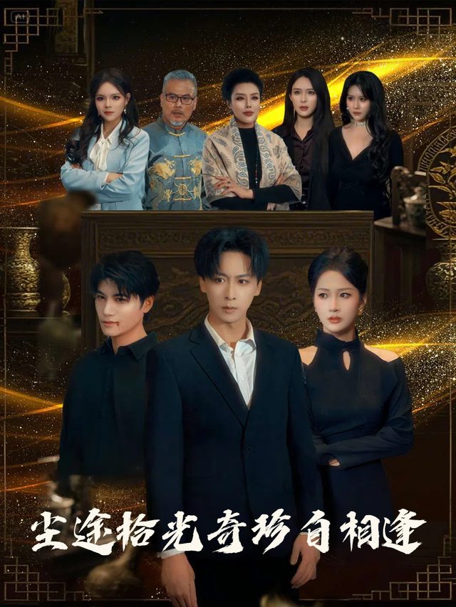 尘途拾光奇珍自相逢封面