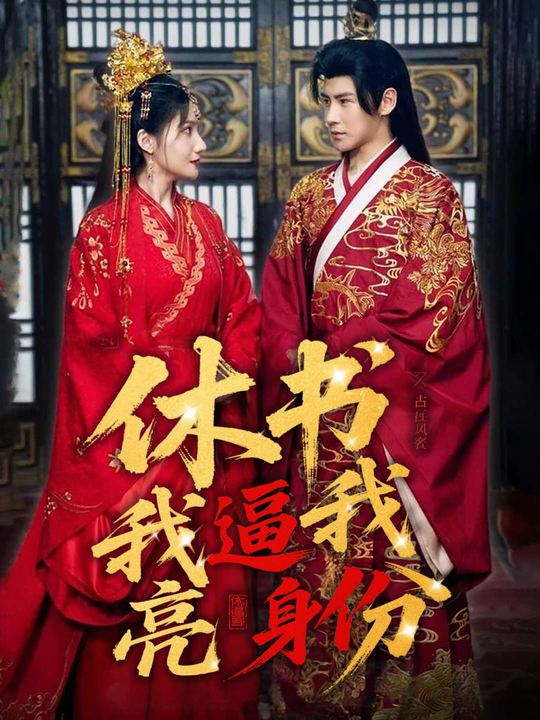 休书逼我亮身份封面