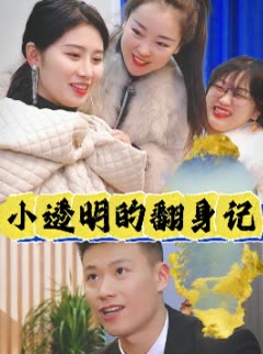 小透明的翻身记封面