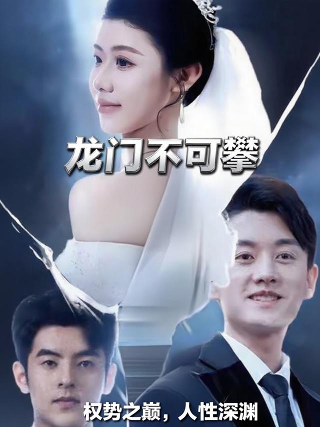 龙门不可攀封面