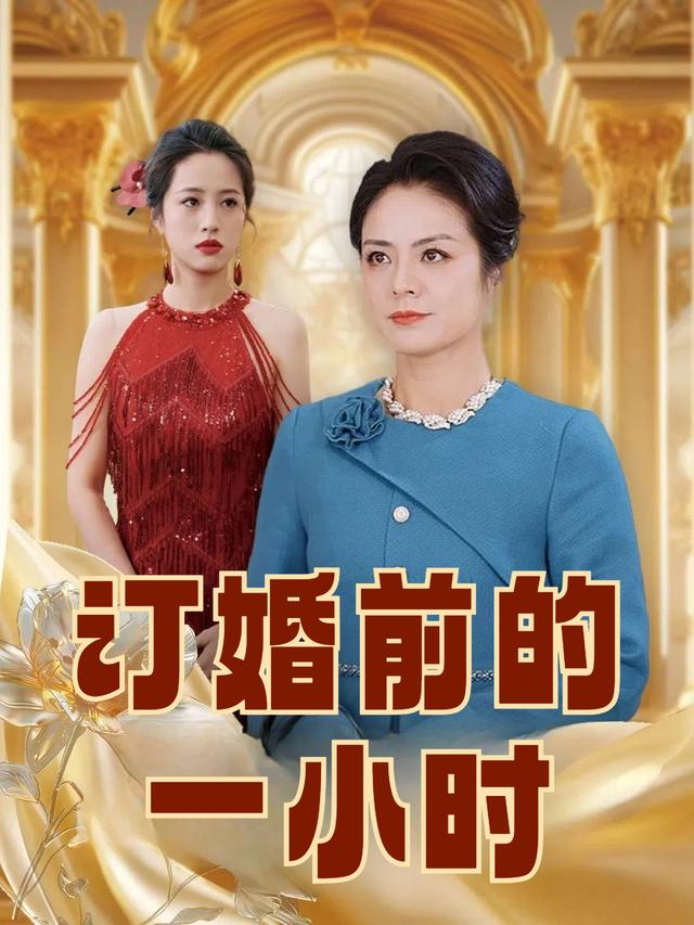 订婚前的一小时封面