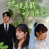 她才是总裁的白月光封面