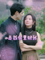 总裁命里缺我封面