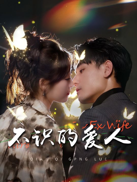 不识的爱人封面