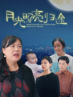 月光照亮归途封面