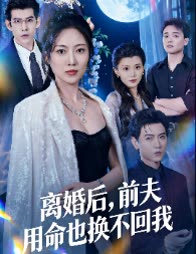 离婚后,前夫用命也换不回我封面