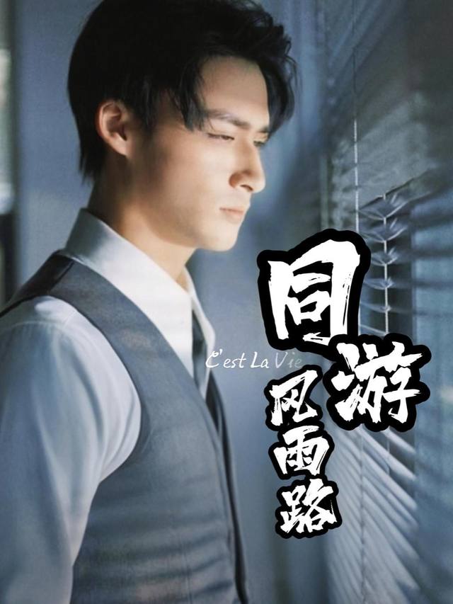 同游风雨路封面