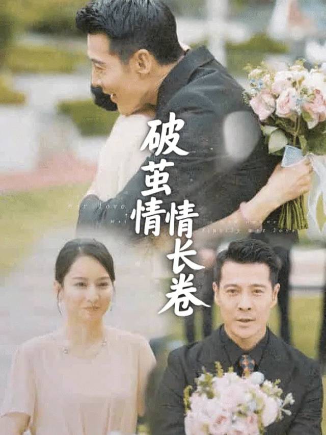 破茧情长卷封面